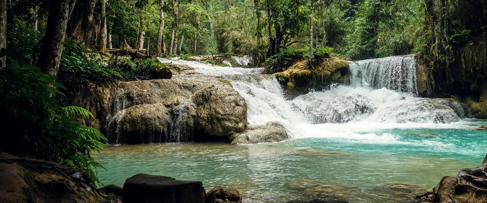 eau turquoise et cascades en gradins de Kuang Si, au milieu de la forêt