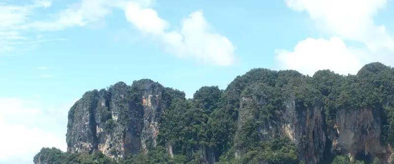 falaises calcaires couvertes de végétation plongeant dans la mer, à Railay, province de Krabi